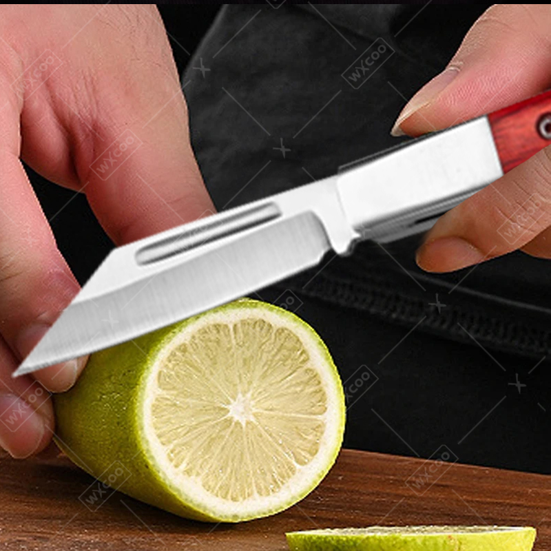 Roestvrijstalen zakmes Palissa - Gaming Kitchen Accessories recensie en prijs
